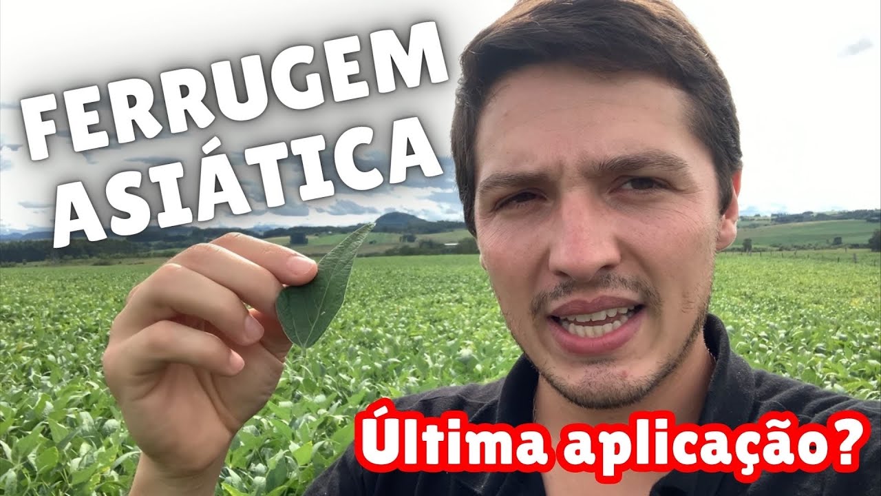 ATÉ QUANDO APLICAR FUNGICIDA NA SOJA??