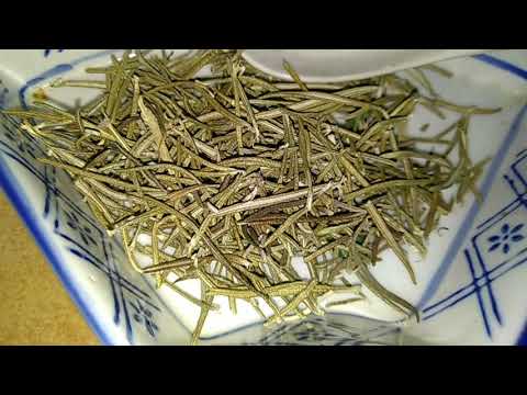 Caj Od Ruzmarina Protiv Bolova/Prehlade/Za Cirkulaciju/Organe Za Varenje/Koncentraciju