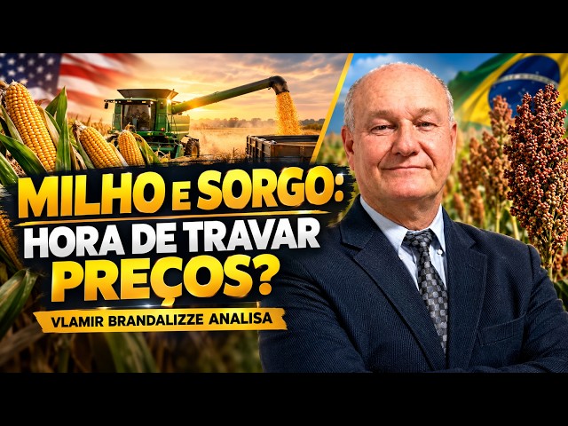 Milho e Sorgo: Hora de Travar Preços? – Vlamir Brandalizze Analisa.