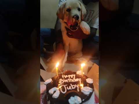 First cake for my juby