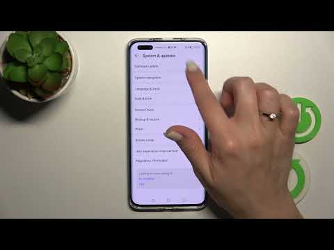 How To Hide Developer Options In HONOR Magic4 Pro