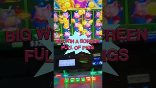 Huff and Even More Puff Huge Win! #slots #casino #gambling #winnerwinnerchickendinner