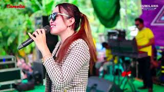 Download lagu CAMELIA MUSIC - HARAPAN HAMPA - RIA ANDIKA - PARTY SEBOLO KALIJENGKING - BANDENGAN JEPARA mp3