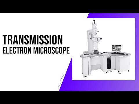 What is " Transmission Electron Microscope " ?