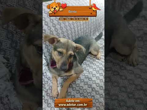Vídeo de Bento