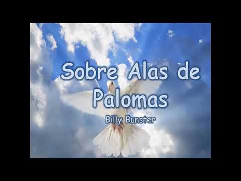 Sobre alas de paloma