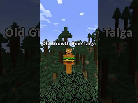 reydoesthings - Do you want to see 63 minecraft biomes in 50 seconds?