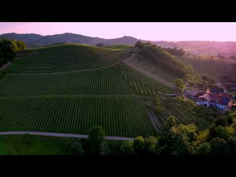 Flug Oberkirch 02 06 23