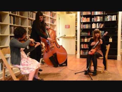 Orion Rigel Dommisse Performance at the Providence Athenaeum.wmv