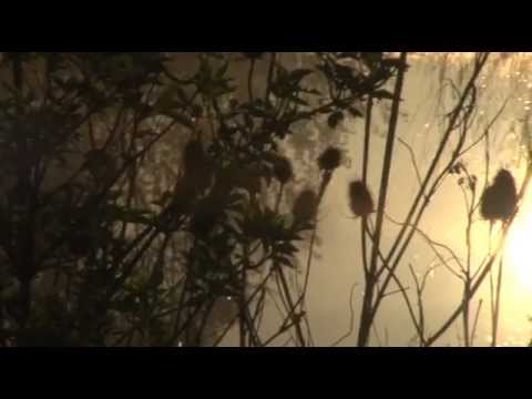 Toeristische film Aalst (c) stad Aalst