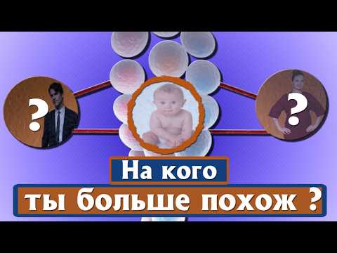 НА КОГО ТЫ БОЛЬШЕ ПОХОЖ (полное видео)