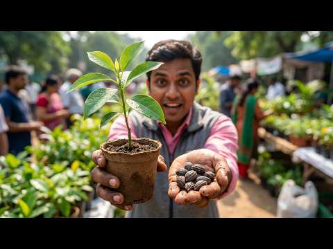 Sampige Seed and Plants Exchange