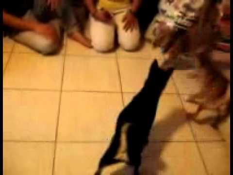 二赤一黑相見歡(原發表者:卷卷爸)(影片)