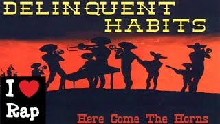 Delinquent Habits - Life Plays