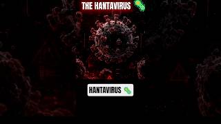 The Hantavirus Cruise Ship Horror Story 🚢☣️ #usa