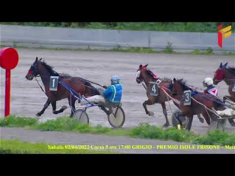 V Corsa del 2 Aprile 2022 - 4 Anni - Metri 1600