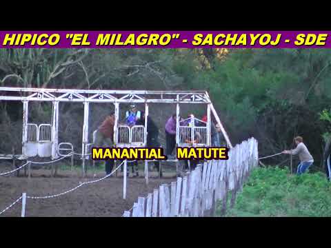 MATUTE en HIPICO "EL MILAGRO" (SACHAYOJ-SDE 20-06-26)