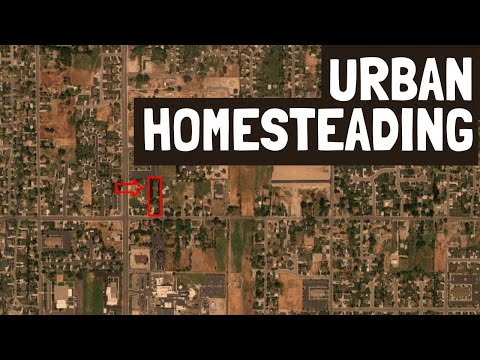 Urban Homesteading | What it's like to Homestead in Suburbia