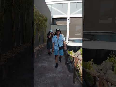 Visitando un centro comercial en Usulutan