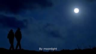 Last Time By Moonlight   Enya with lyrics