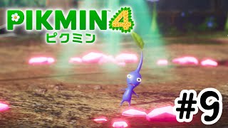 【ピクミン4】やっと仲間になりました！#9
