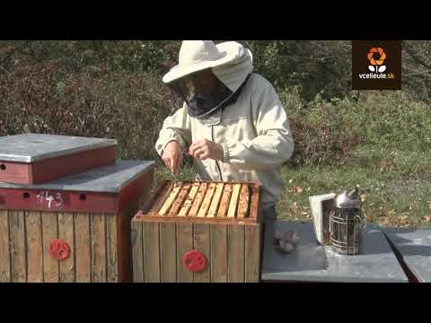 Včely na jeseň - Včelárstvo Jozef Ľupták