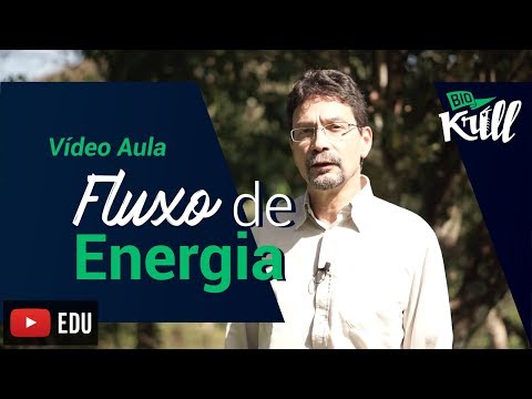 Fluxo de Energia - Vídeo Aula