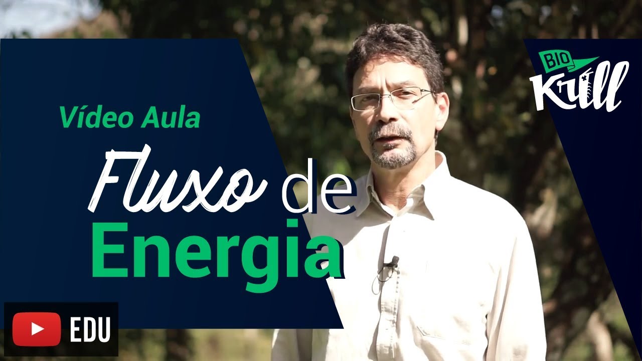 Fluxo de Energia - Vídeo Aula