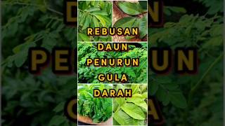 Download lagu Boiled leaves to lower blood sugar #info #health #herbal #shorts mp3