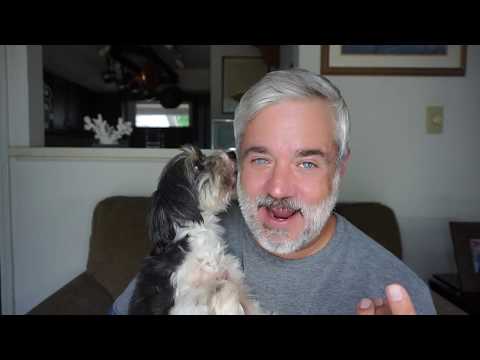 WHY I NAMED MY DOG BOO RADLEY!