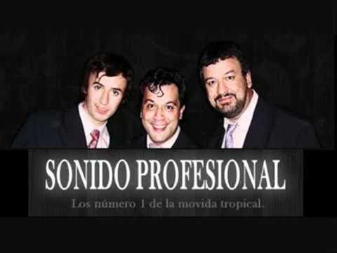 Ax 13 ft Sonido Profesional   Tan casual