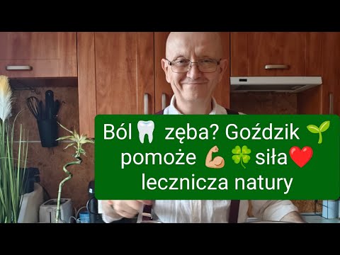 Co na Ból zęba? Goździk 🌱 pomoże 💪🏼🍀❤️ lek naturalne zamiast tabletek #Co #na #Ból #zęba #goździk