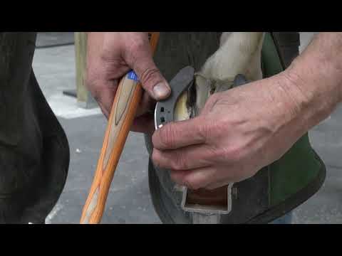 Slide 3 - Kerckhaert Sliding Pride 1” EU 13 Unclipped  (video)