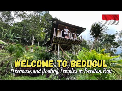Ulun Danu Beratan, Bedugul, Bali Treehouse #26vlog