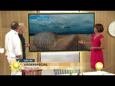 Här är solen i helgen - Nyhetsmorgon (TV4)