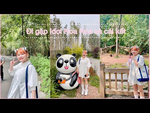 Tham quan Khu bảo tồn Gấu Trúc - Thành Đô - Tứ Xuyên
