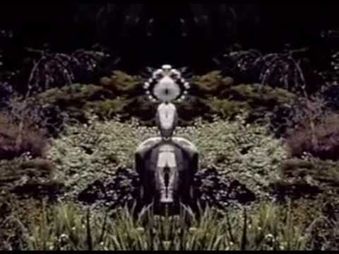 Stadtrand — Waiting (live)