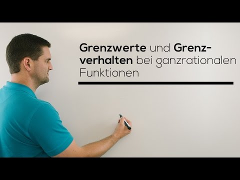 Grenzwert, Grenzverhalten bei ganzrationalen Funktionen, Limes | Mathe by Daniel Jung