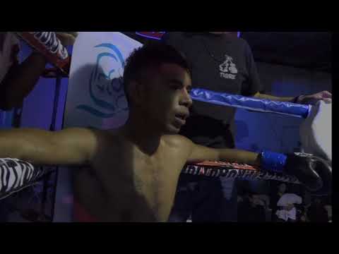 CHRISTIAN CASTILLO vs. CRUZ PALAFOX