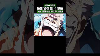원피스) 눈물 없이 볼 수 없는 거프 선생님의 마지막 유언 #onepiece #원피스