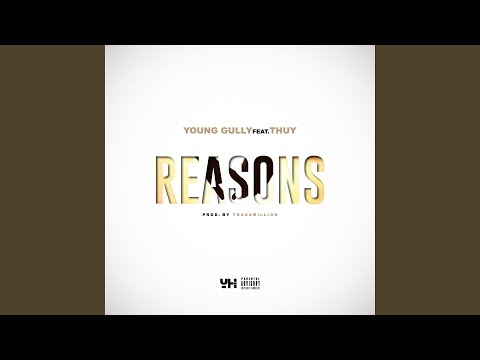 Reasons (feat. Thuy)