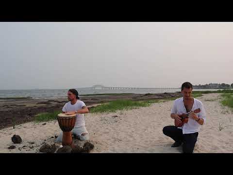 Ukulele and Bongo Jam