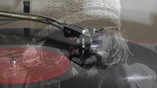 Badly Drawn Boy | Disillusion [Vinyl]