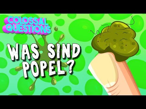 Was sind Popel? | GIGANTISCHE FRAGEN