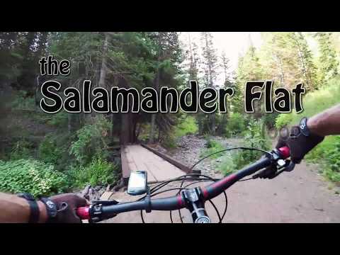 Salamander Flat Loop