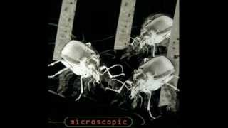 Download   Microscopic 08 Papa Papa Mula Cwm