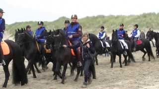 preview picture of video 'Mega strandrit Friese paarden 2013'