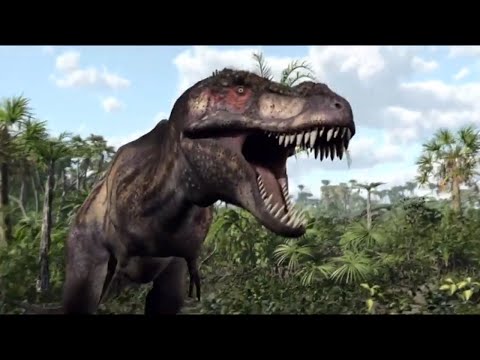 Hollow Studios, CGI Reel