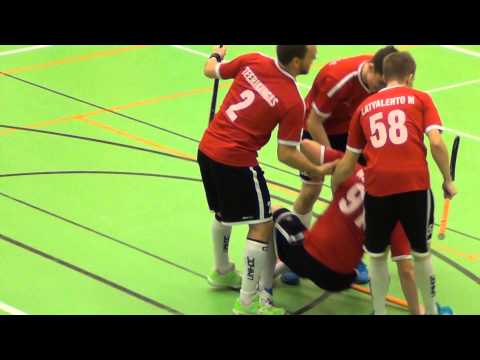 LNM - PSS Maalikooste 06.12.2014