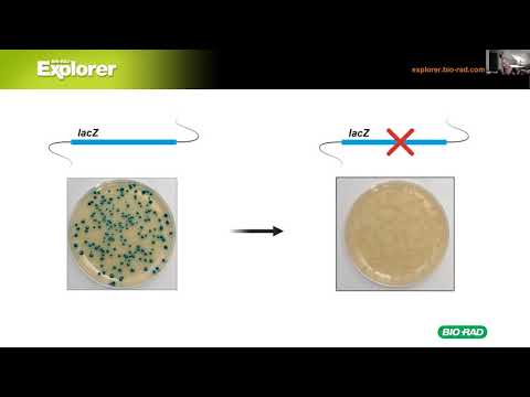 InnovATEBIO CRISPR Webinar 1-22-2021